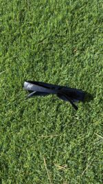 ⁦CARTEL SUNGLASSES – BLACK⁩ – תמונה ⁦2⁩